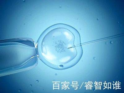 院长